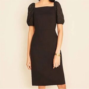 NWT Ann Taylor LBD with eyelet sleeves